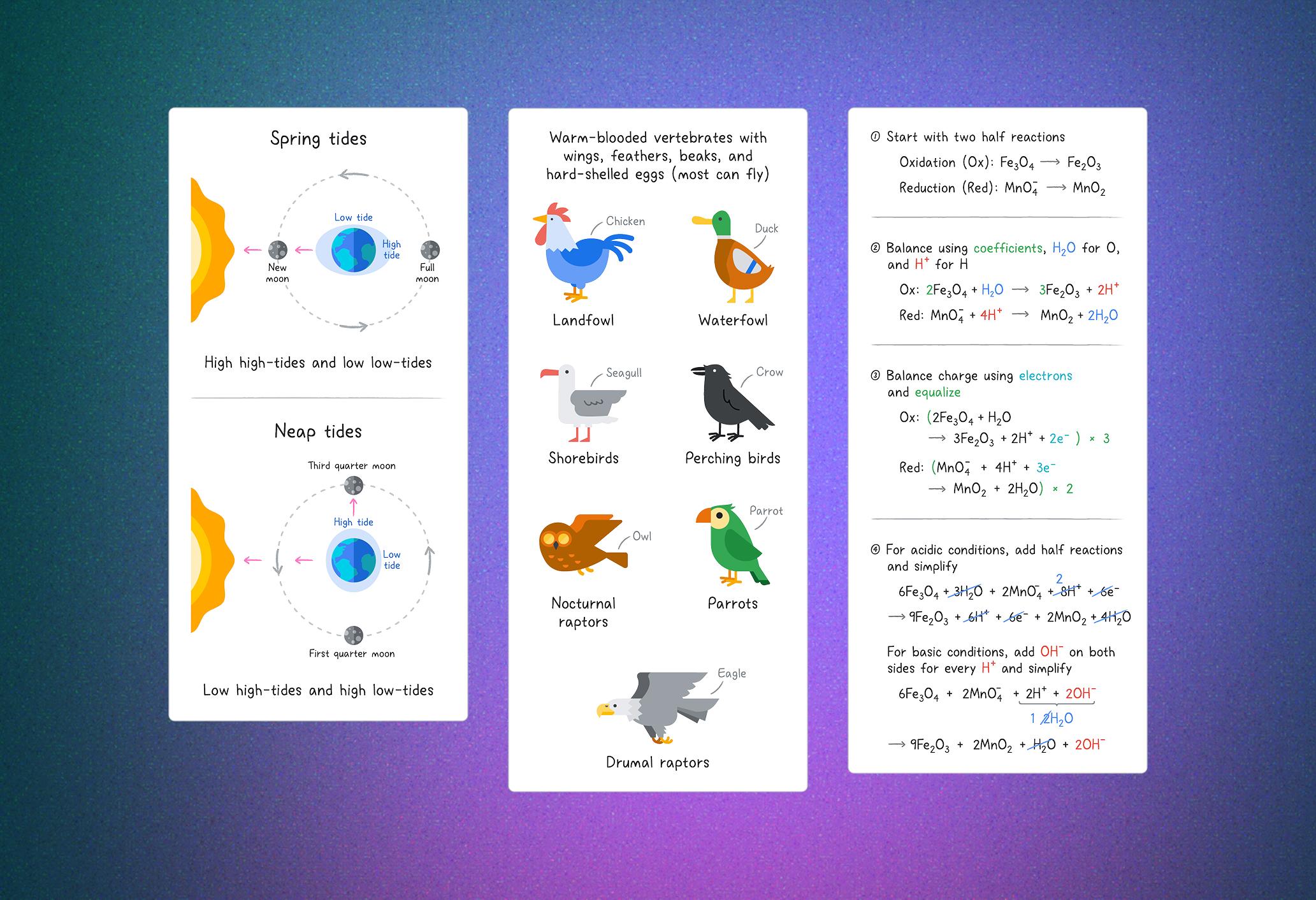 Google Education preview